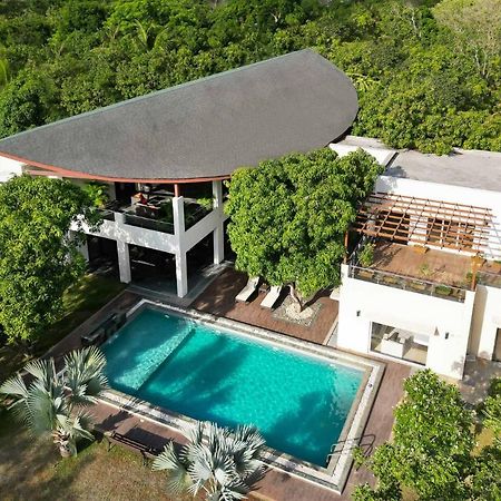 The Leaf By Stayvista - An Enchanting Escape Offering A Pool, Terrace, Lush Lawn, Contemporary Interiors, And Indoor Games Alībāg Eksteriør bilde