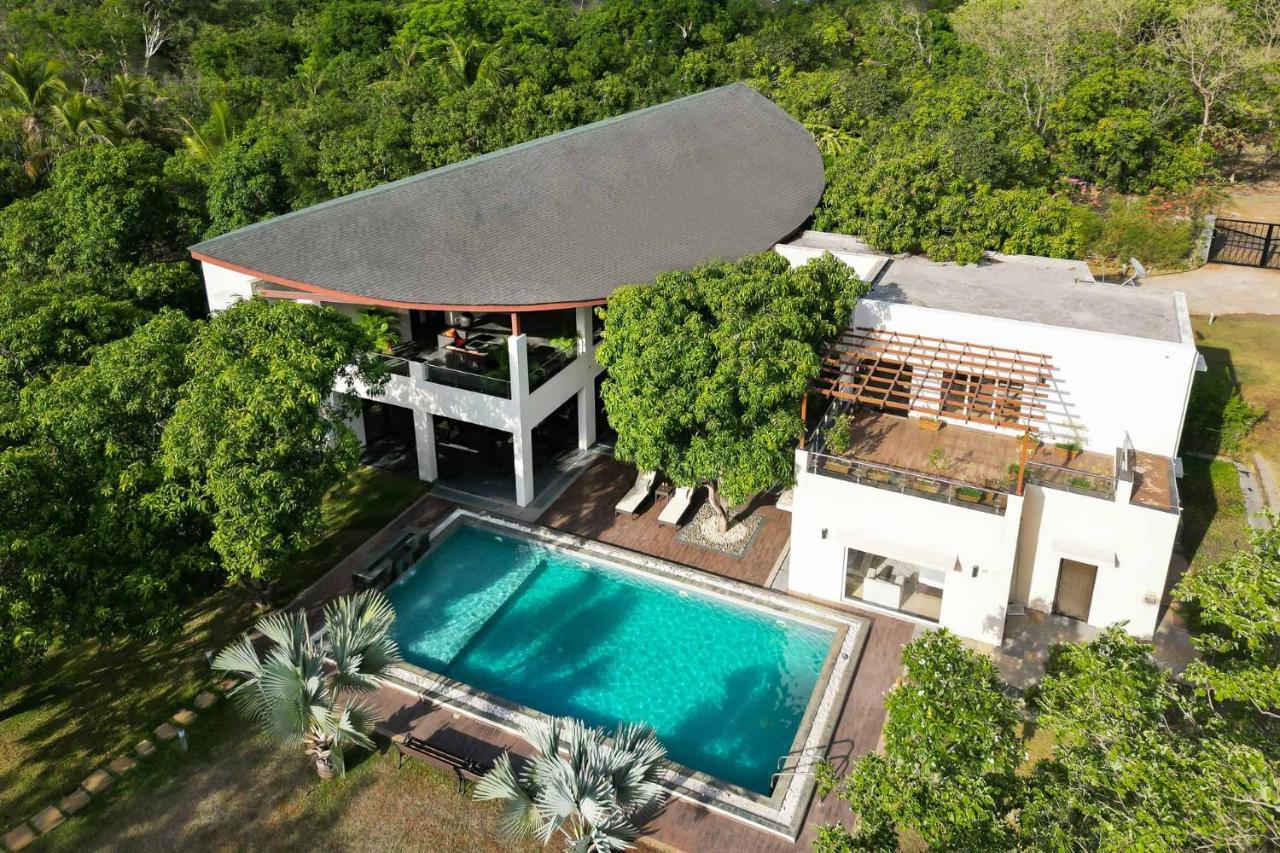 The Leaf By Stayvista - An Enchanting Escape Offering A Pool, Terrace, Lush Lawn, Contemporary Interiors, And Indoor Games Alībāg Eksteriør bilde